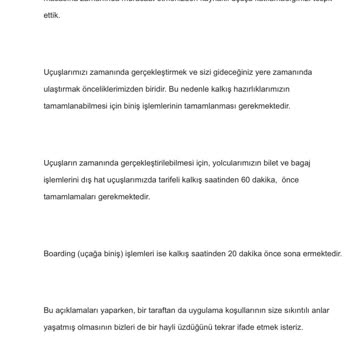 Havayolu Check-in Sorunu Ve İletişim Eksikliği