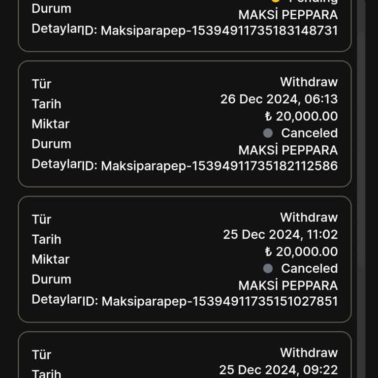 Onay Sürecinde Büyük Gecikme