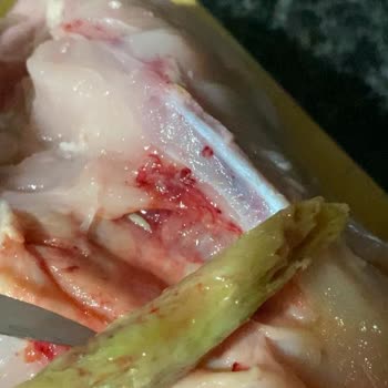 A101'den Aldığım Tavukta Şüpheli Madde Ve İletişim Sorunu