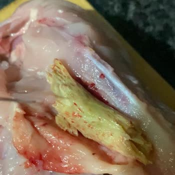 A101'den Aldığım Tavukta Şüpheli Madde Ve İletişim Sorunu