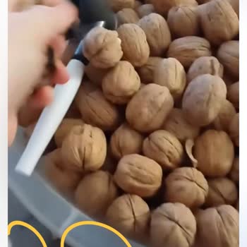 Niksar'dan Yöresel Ürünleri Cevizin Yarısı Çöp!