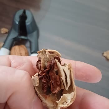 Niksar'dan Yöresel Ürünleri Cevizin Yarısı Çöp!