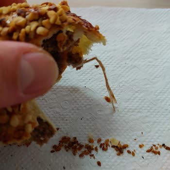 C'viz Cafe'de Hijyen Sorunu Ve İlgisizlik