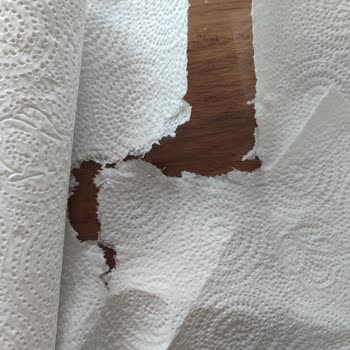 Familia Havlu Kağıt Kalitesinde Hayal Kırıklığı