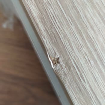 Koçtaş'tan Kusurlu Ürün Ve Zorlaştırılan İade Süreci