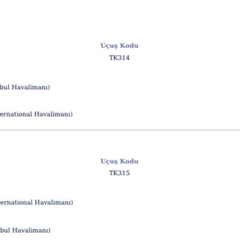 Uçuş İptali Nedeniyle Ekstra Masraflar Ve Tazminat Talebi