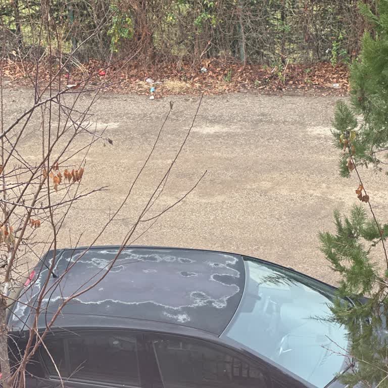 Severe Sun Damage on My Opel Corsa Ruins Resale Value