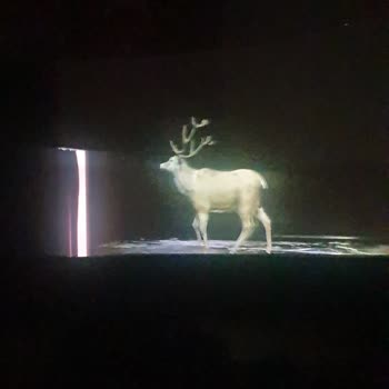 Hologram Diye Satılan 2 Boyutlu Hayal Kırıklığı