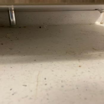 Temizlik Görevlilerinin Davranışları Ve Hijyen Sorunu