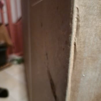 Hasarlı Ürün Ve Kötü Kargo Deneyimi