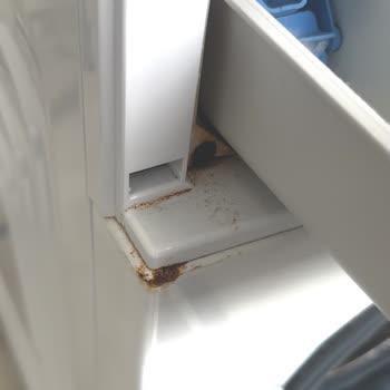 Problemas con lavadora Beko CM8100, óxido, ropa rasgada y fallos