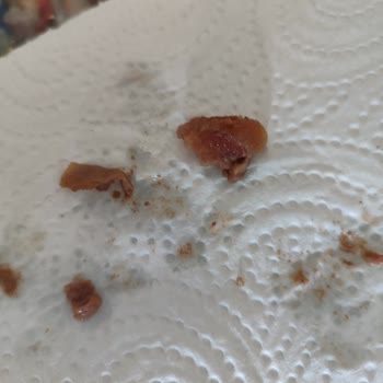 Torku Dana Kavurma: Beklenmedik Kıkırdak Ve Yağ Sorunu