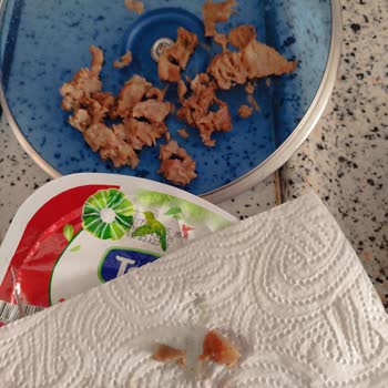 Torku Dana Kavurma: Beklenmedik Kıkırdak Ve Yağ Sorunu