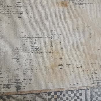 Renk Atan Halı: Festival Bianca'nın Hayal Kırıklığı