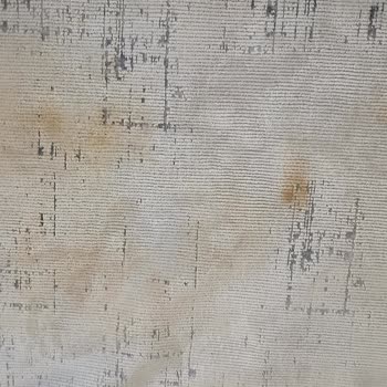 Renk Atan Halı: Festival Bianca'nın Hayal Kırıklığı