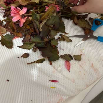 Boyanmış Çürük Çiçeklerle Aldatıldık