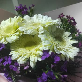 Yanlış Çiçek Gönderimi Ve İletişim Sorunu