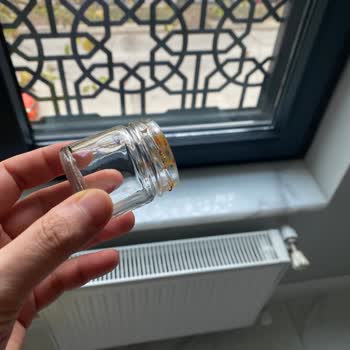 Bosch Bulaşık Makinesi Hayal Kırıklığı