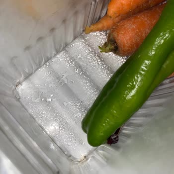 Bosch Buzdolabında Terleme Sorunu Ve Yetersiz Servis