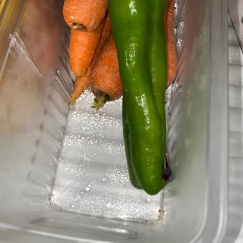 Bosch Buzdolabında Terleme Sorunu Ve Yetersiz Servis