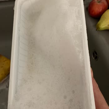 Kerebiç Ve Köpükte Hayal Kırıklığı