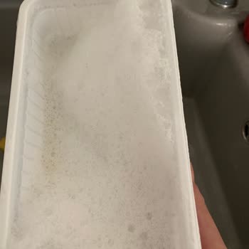 Kerebiç Ve Köpükte Hayal Kırıklığı