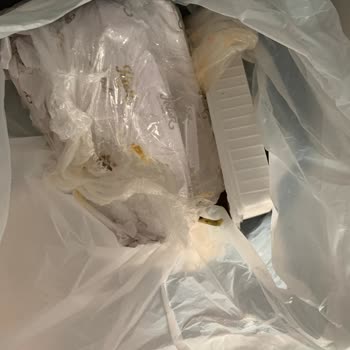 Kerebiç Ve Köpükte Hayal Kırıklığı