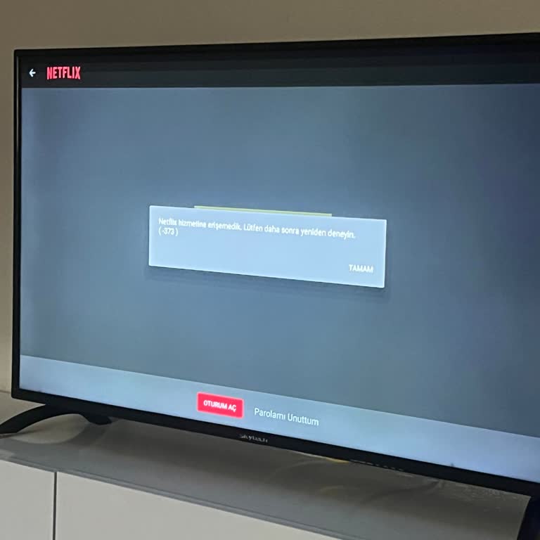 Skytech Televizyonumda Netflix Sorunu