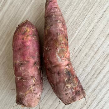 Organik Ürün Beklerken Hayal Kırıklığı: Çürük Ve Küflü Sipariş