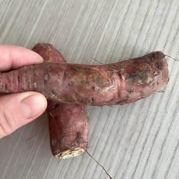 Organik Ürün Beklerken Hayal Kırıklığı: Çürük Ve Küflü Sipariş