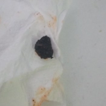Patos Cips Paketinden Çıkan Beklenmedik Madde!