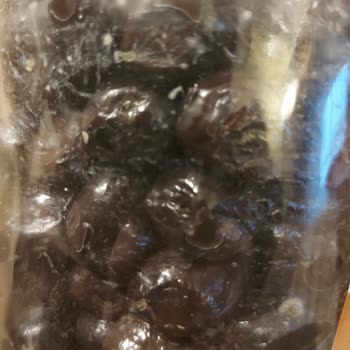 A101'den Aldığım Zeytinde Küf Problemi Ve İade Sorunu