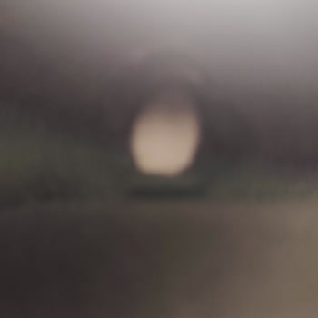 Puma Mağazasından Alınan Ayakkabının Kalitesizliği