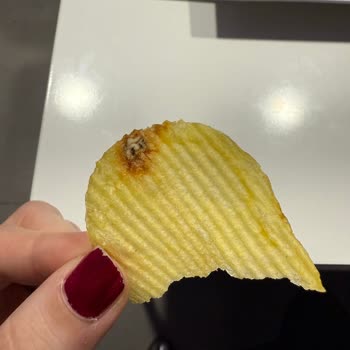 Ruffles Cipsinde Ölmüş Kurt Şoku!