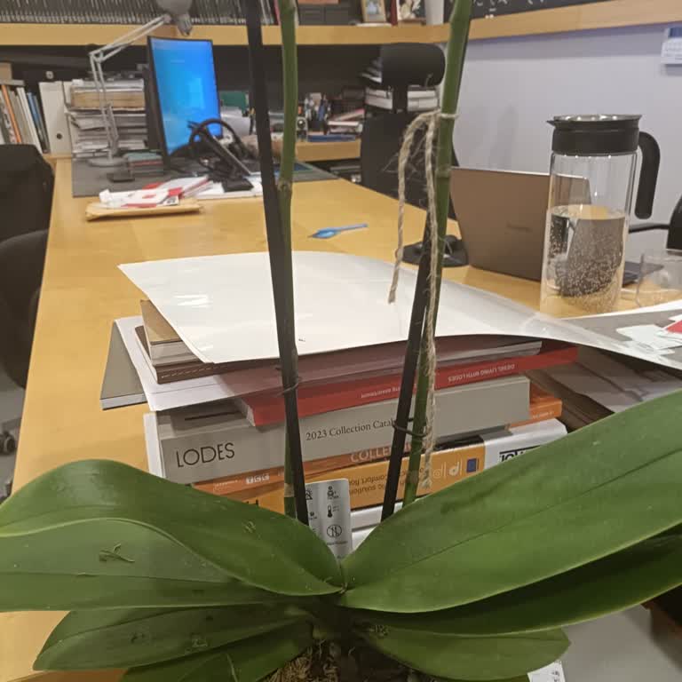 Çiçek Sepeti Not Eksikliğiyle Hayal Kırıklığına Uğrattı