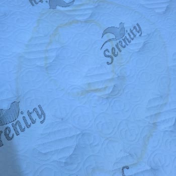 Bambi Serenity Yatakta Büyüyen Pas Lekesi Sorunu