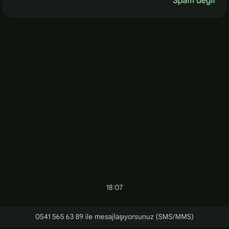 Yanıltıcı Mesaj Ve Asılsız Suçlamalarla Karşı Karşıyayım