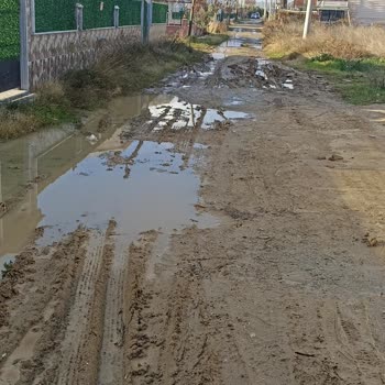 Dereağzı 6005. Sokak'ta Acil Asfalt İhtiyacı