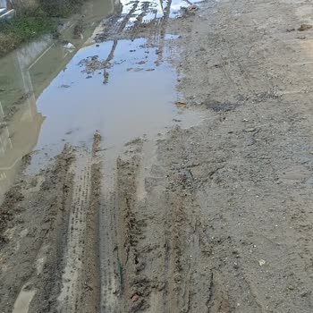 Dereağzı 6005. Sokak'ta Acil Asfalt İhtiyacı