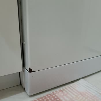 Arçelik Bulaşık Makinesinde Paslanma Sorunu
