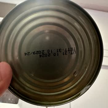 Tehlikeli Kılçık: Ton Balığında Güvenlik Sorunu