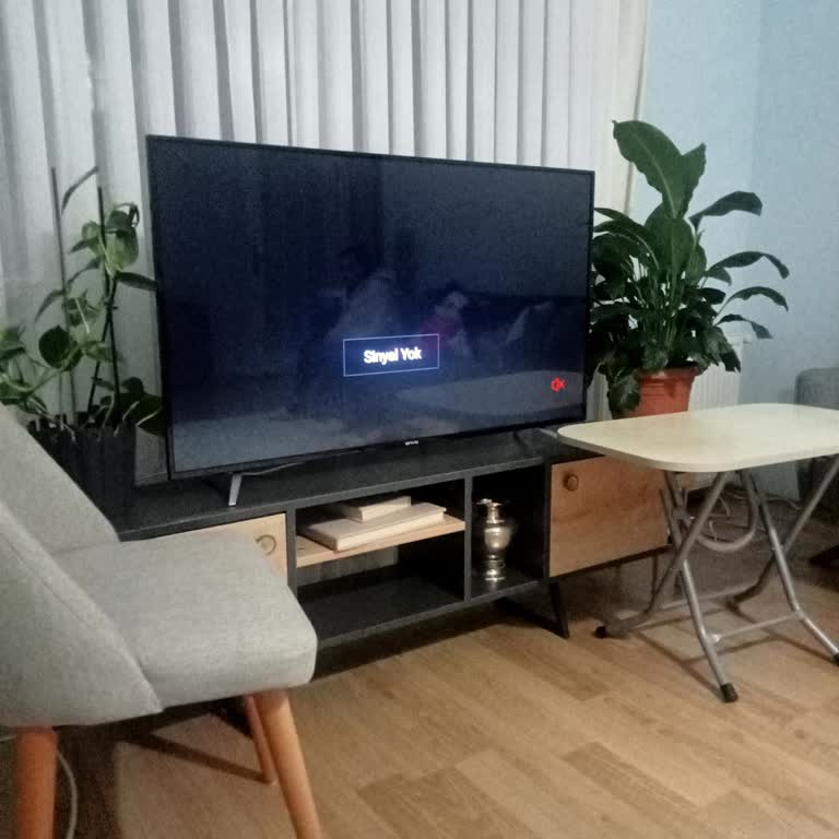 Onvo TV'nin Dahili Uydu Alıcısında Sinyal Sorunu