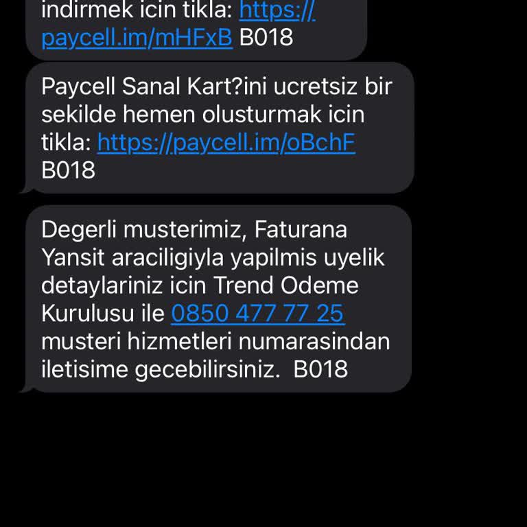 Otomatik Onaylanan Oyun Üyeliği Ve Çekilen Ücretler