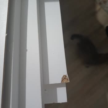 Trendyol'dan Kırık Dolap Ve İade Sorunu