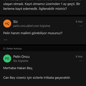 Vize Sürecinde Yaşanan Sorunlar Ve İlgisizlik