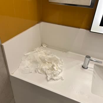 Tuvalet Temizliği Hayal Kırıklığı