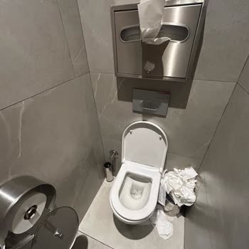 Tuvalet Temizliği Hayal Kırıklığı