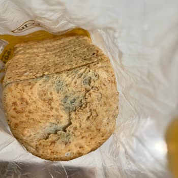 BİM'den Aldığım Küflü Tost Ekmeği Sorunu