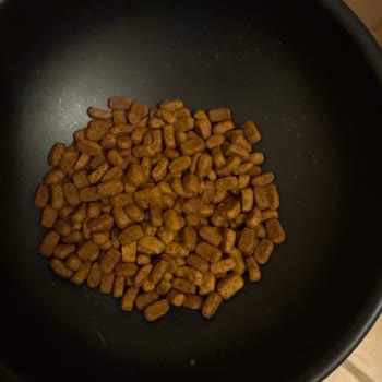 Yanlış Mama Gönderimi Ve Kedimin Reddettiği Ürün