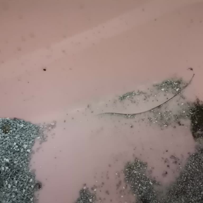 Kalitesiz Ürün Ve Geç Gelen Fatura Mağduriyeti